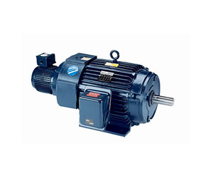 AC/DC Motors